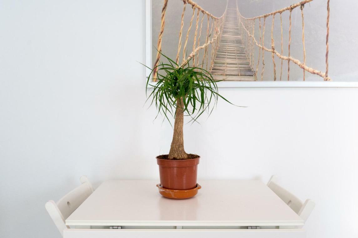 Ml1C-Prime Location Marble Apartment With Patios Málaga Kültér fotó