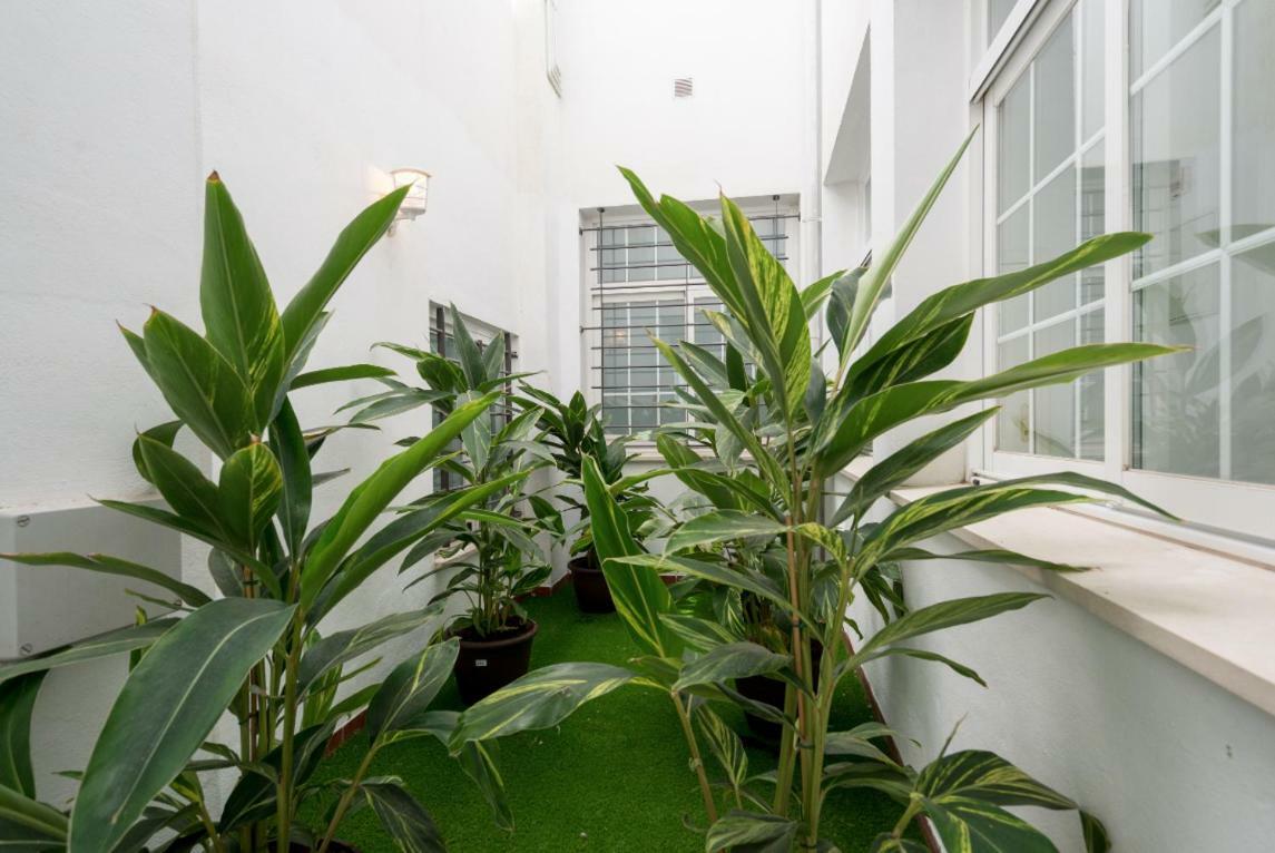 Ml1C-Prime Location Marble Apartment With Patios Málaga Kültér fotó